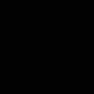 Meet your Posher, Daisy